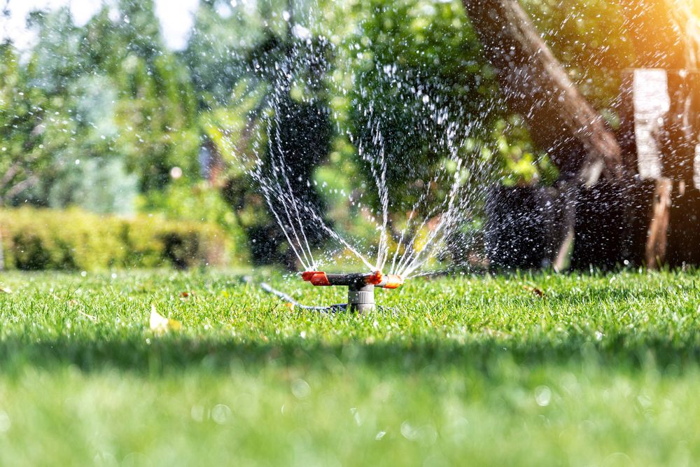 Precision Sprouts Your Go-To for Sprinkler System Repairs